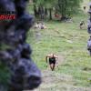 2018 08 04 Vertical T2_092 primi